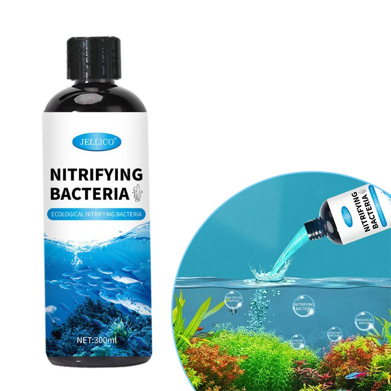 Aquarium Fish Breeding - Nitrifying Bacteria Liquid Fish Tank เครื่องกรองน้ํา