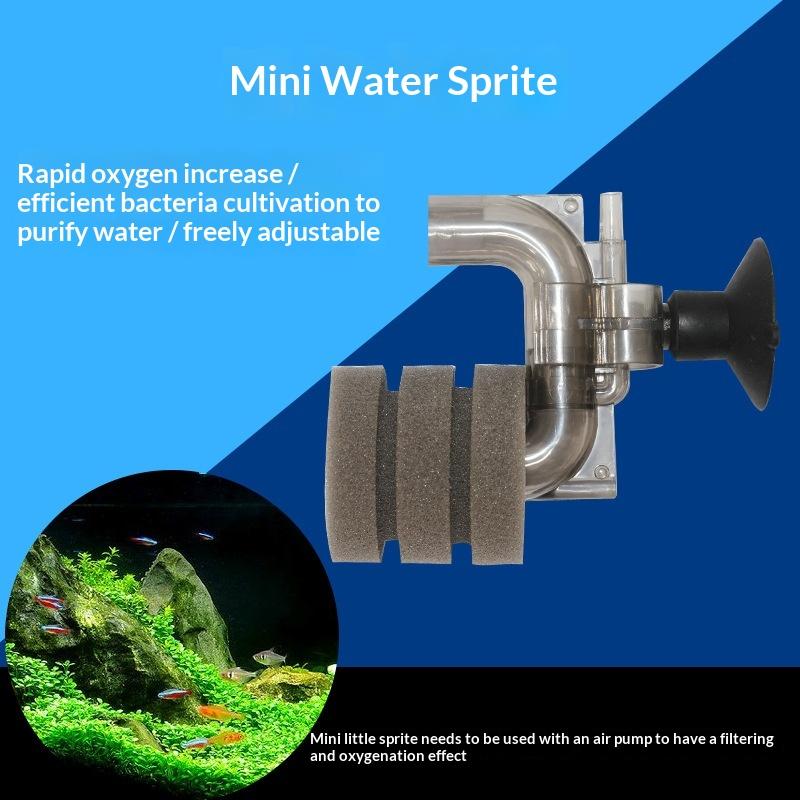 ลดราคา-ฟิลเตอร์ฟองน้ำตู้ปลาขนา - Aquarium Fish Price บทวิจารณ์และราคา