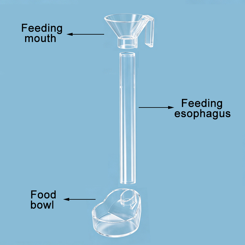 ท่ออะคริลิคใสสำหรับให้อาหารปลา - Aquarium Fish Price บทวิจารณ์และราคา