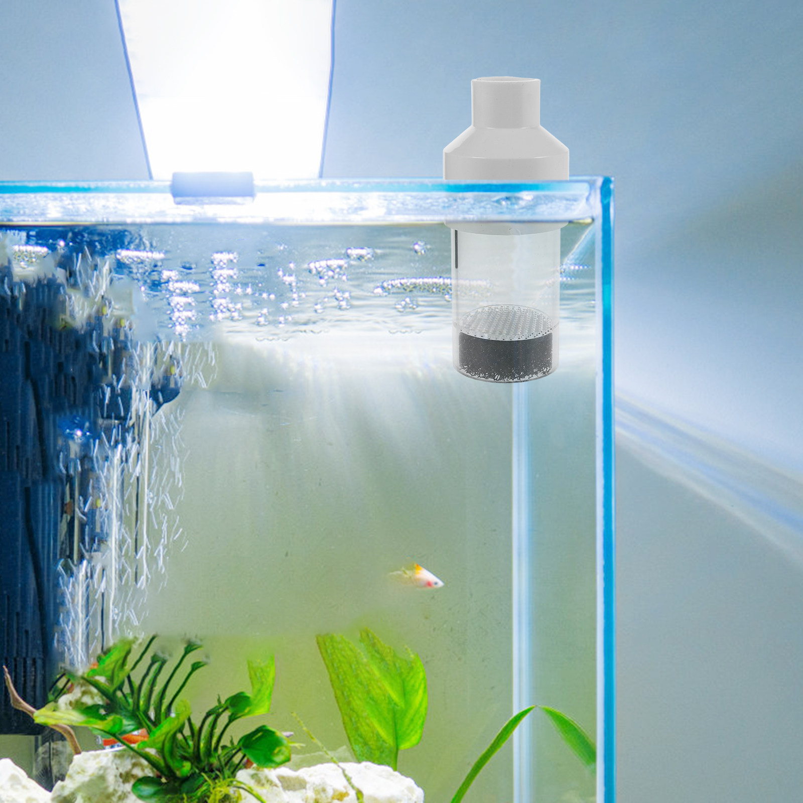ตู้ฟักไข่ปลา 50 มม. อุปกรณ์เพา - Aquarium Fish In บทวิจารณ์และราคา