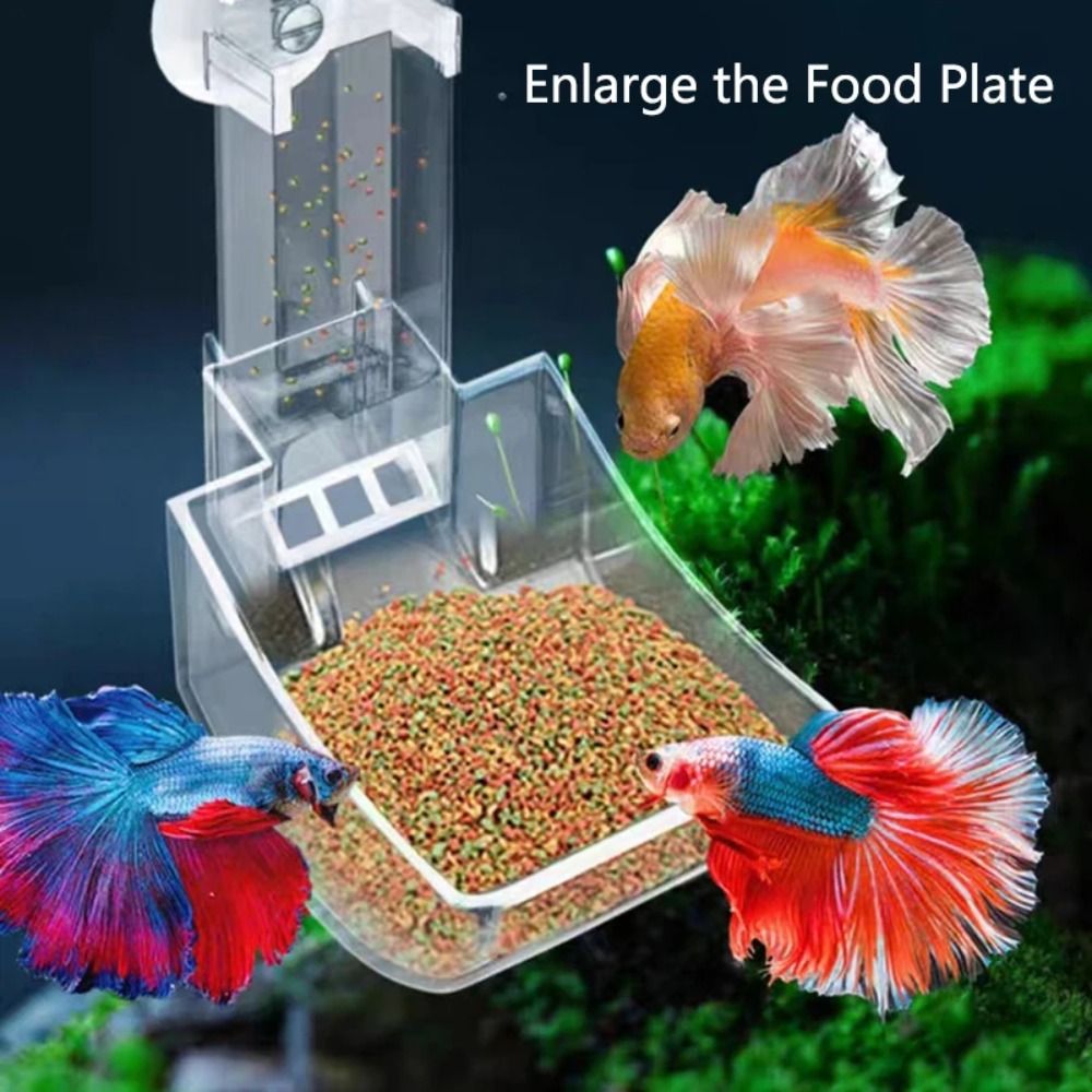 ท่อให้อาหารปลาในตู้ปลาแบบใส อะ - Aquarium Fish Price บทวิจารณ์และราคา