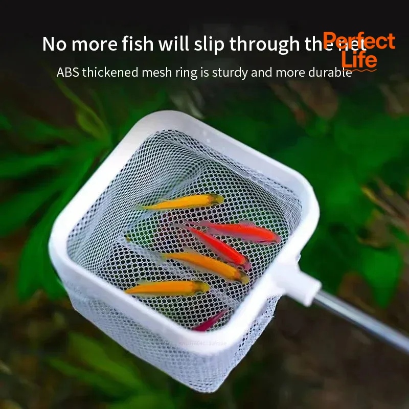 1、2 ชิ้น ตาข่ายดักปลาสแตนเลส ท - Aquarium Fishland บทวิจารณ์และราคา