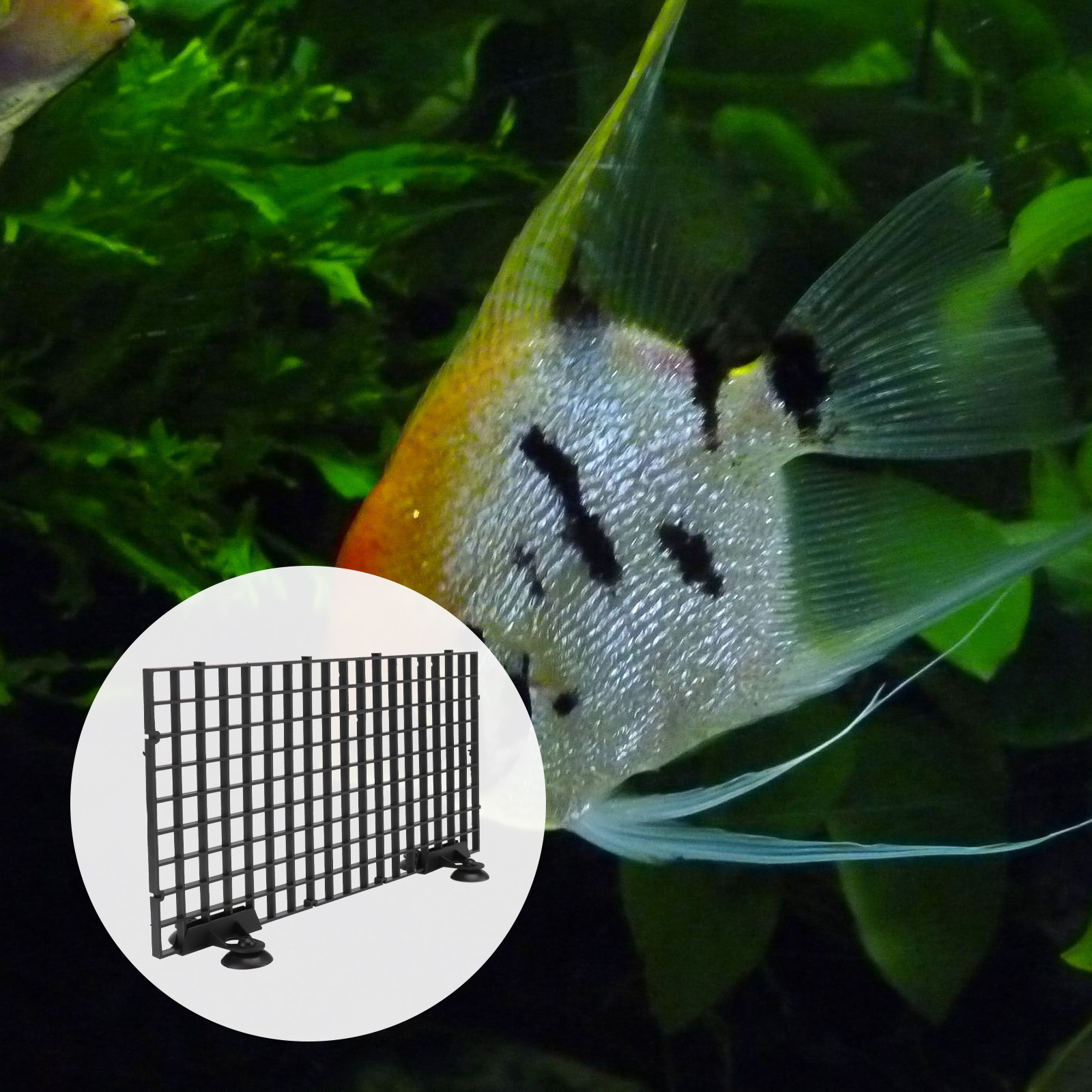 ตาข่ายเพาะพันธุ์ปลาขนาดใหญ่ สี - Aquarium Fish Net Big Size บทวิจารณ์และราคา