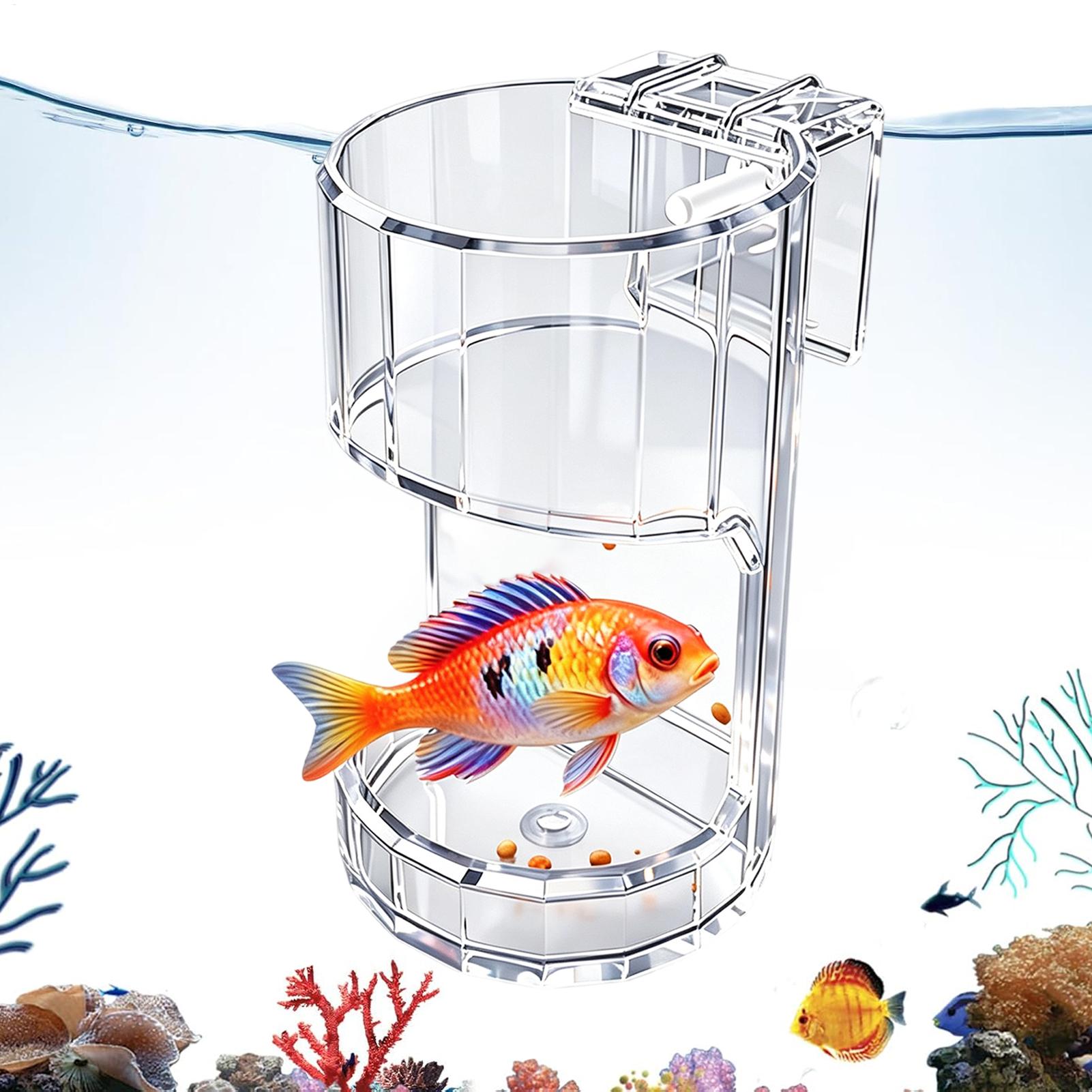 ชามใส่อาหารปลาตู้ปลาแบบโปร่งใส - Aquarium Fish Price บทวิจารณ์และราคา