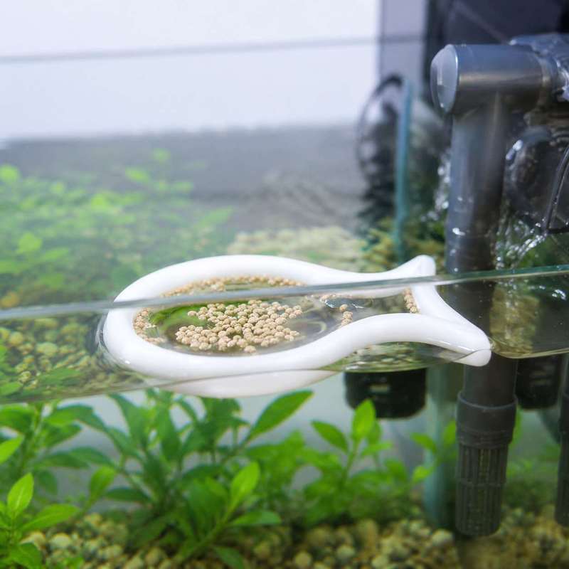 วงแหวนให้อาหารปลาแบบลอยน้ำรูปท - Aquarium Fish Price บทวิจารณ์และราคา