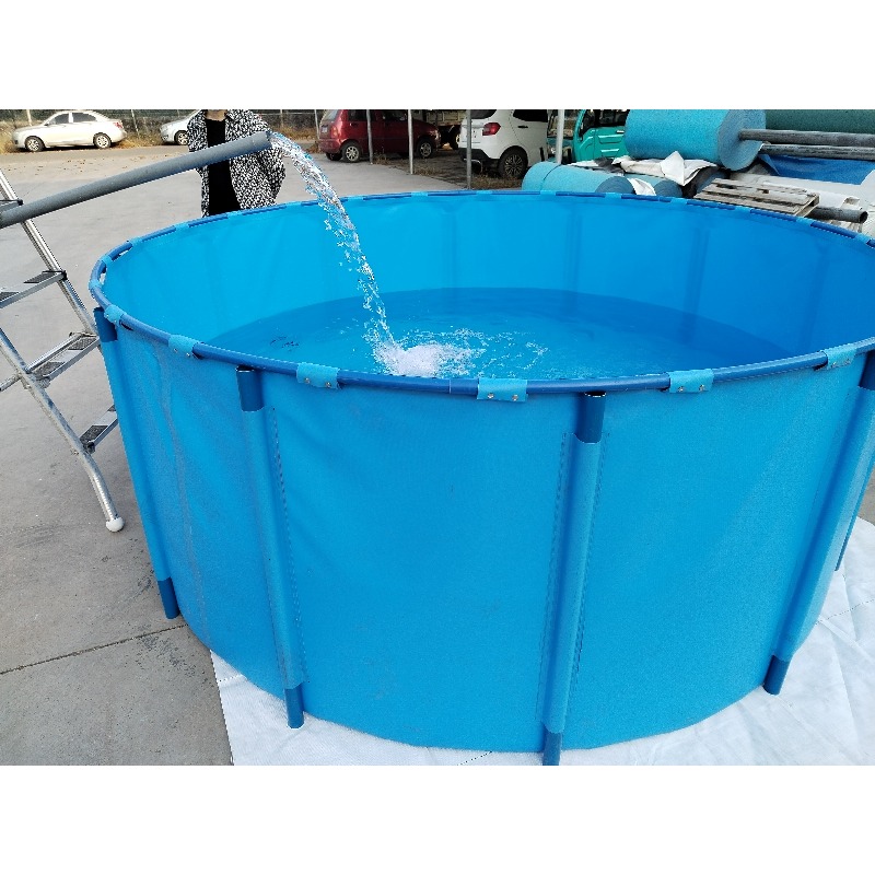 ตู้ปลาในร่ม PVC สีฟ้า พร้อมอุป - Aquarium Fish And Price บทวิจารณ์และราคา