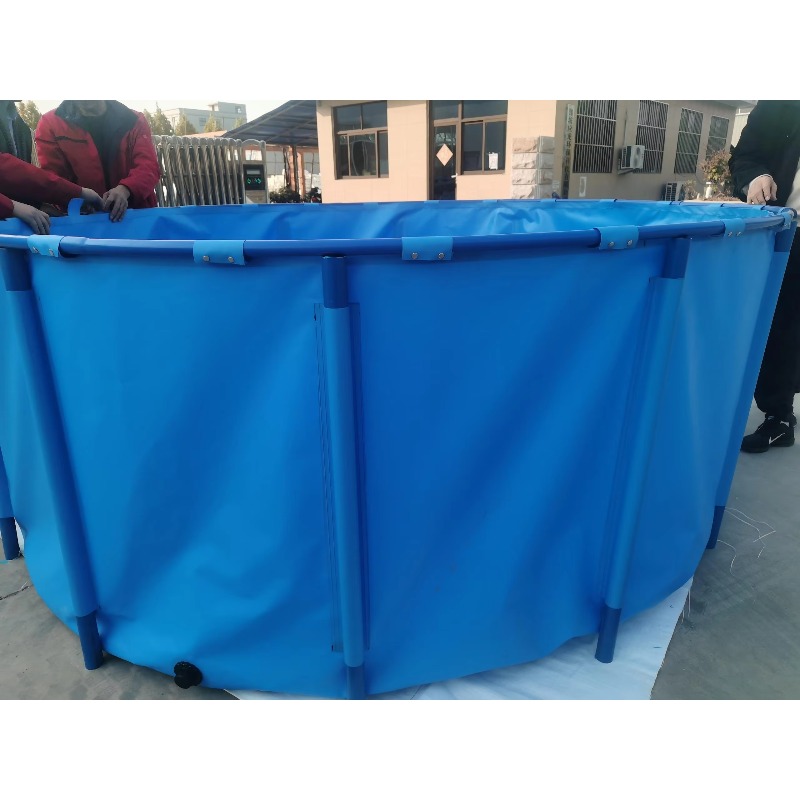ตู้ปลาในร่ม PVC สีฟ้า พร้อมอุป - Aquarium Fish And Price บทวิจารณ์และราคา