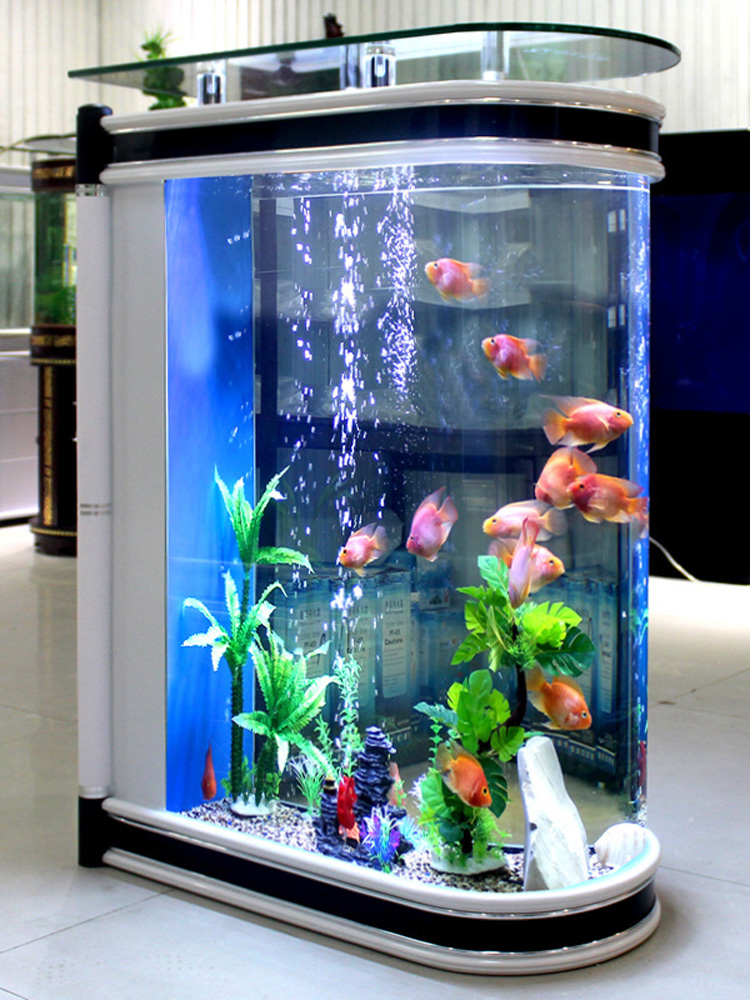 ตู้ปลาทรงกระสุนแบบอีโคโลจี ขนา - Aquarium Fishland บทวิจารณ์และราคา