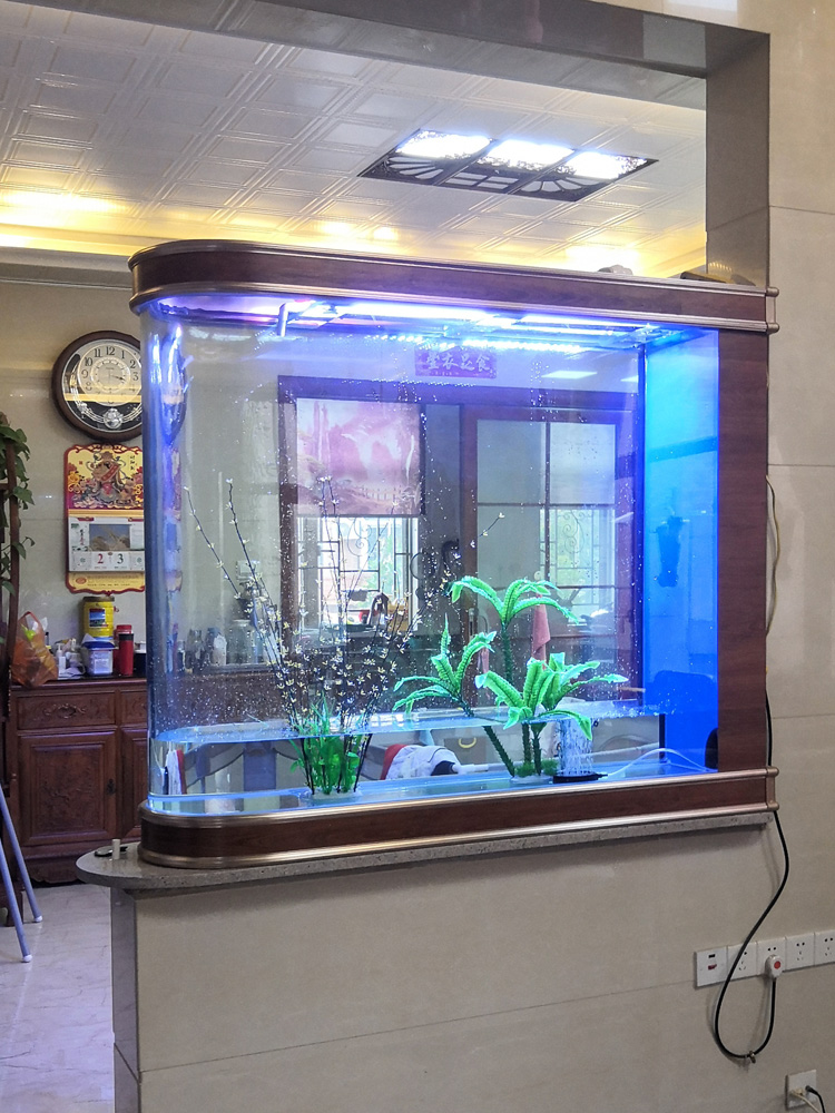 ตู้ปลาทรงกระสุนแบบอีโคโลจี ขนา - Aquarium Fishland บทวิจารณ์และราคา