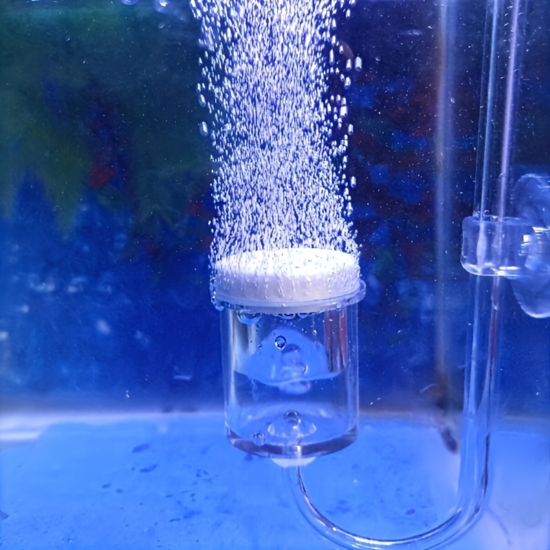 Aquarium Glass CO2 Atomizer Di - Aquarium Fish Buy บทวิจารณ์และราคา