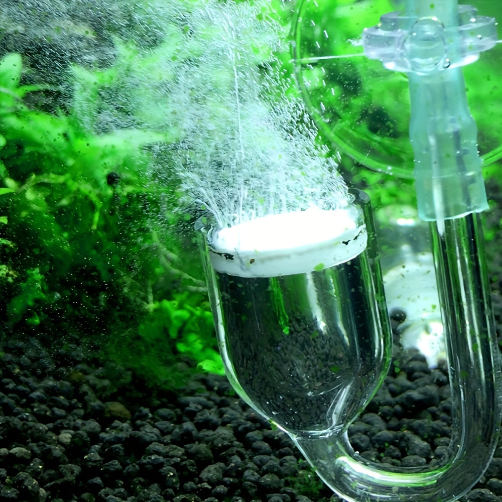 Aquarium Glass CO2 Atomizer Di - Aquarium Fish Buy บทวิจารณ์และราคา