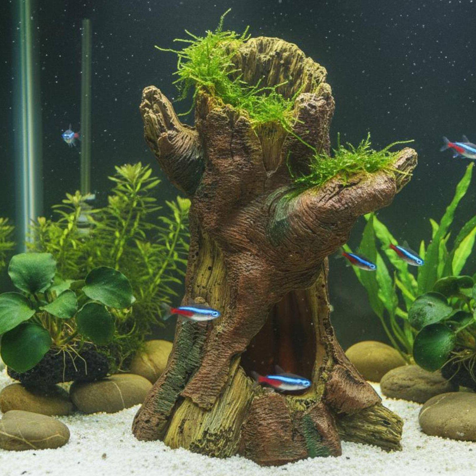 ของตกแต่งตู้ปลา ต้นไม้เรซินสำห - Aquarium Fish In บทวิจารณ์และราคา