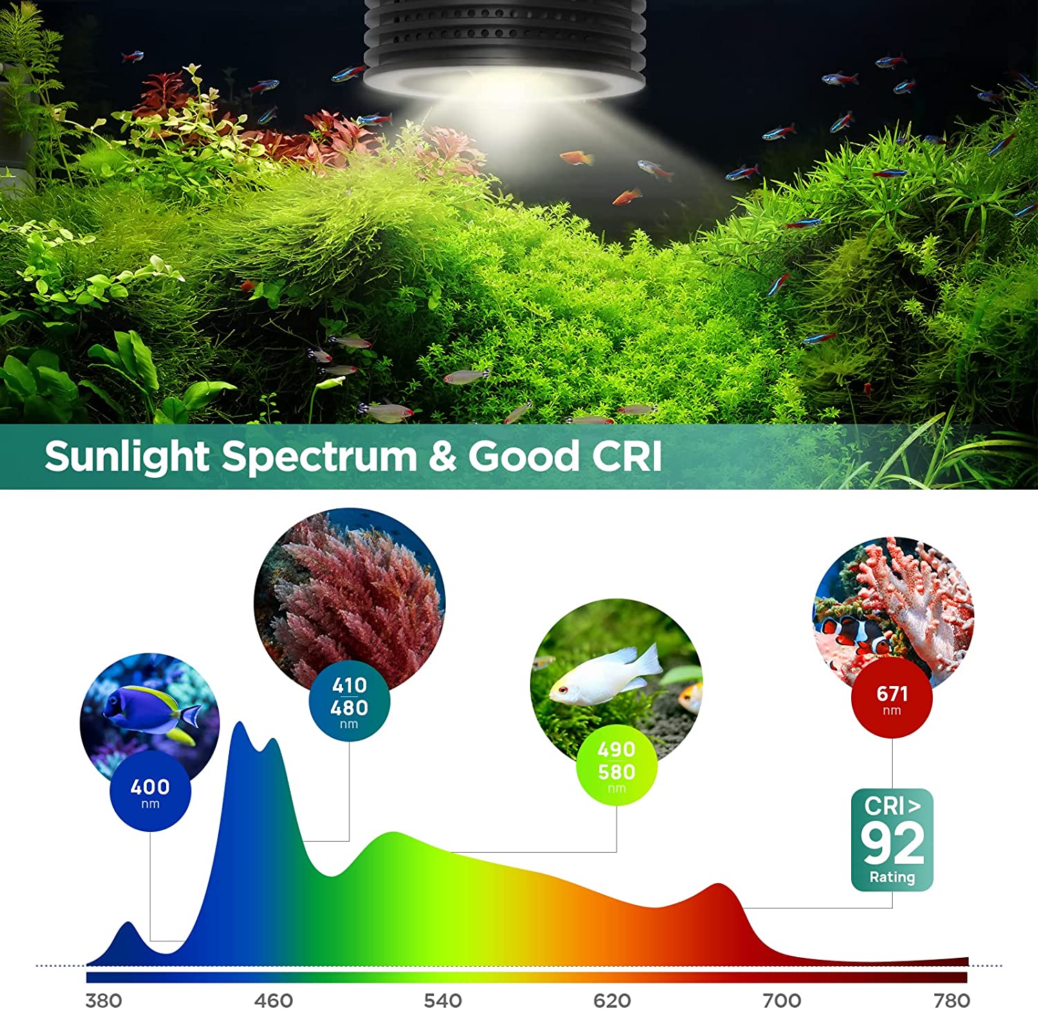 ไฟ LED สำหรับตู้ปลา Lominie As - Refugium Light Nano บทวิจารณ์และราคา