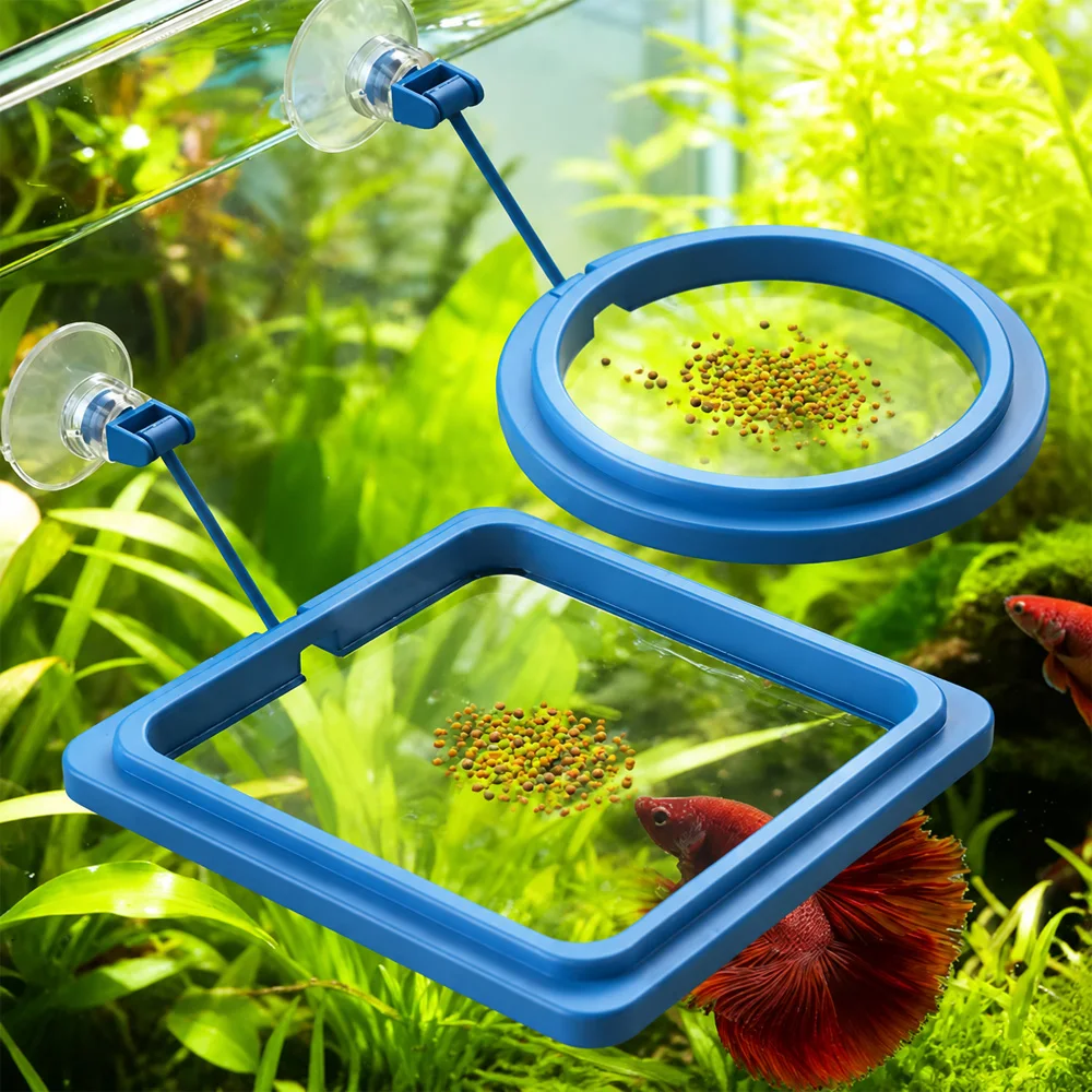 อาหารปลาเบต้าแบบเม็ดลอยน้ำขนาด - Aquarium Fish Price บทวิจารณ์และราคา