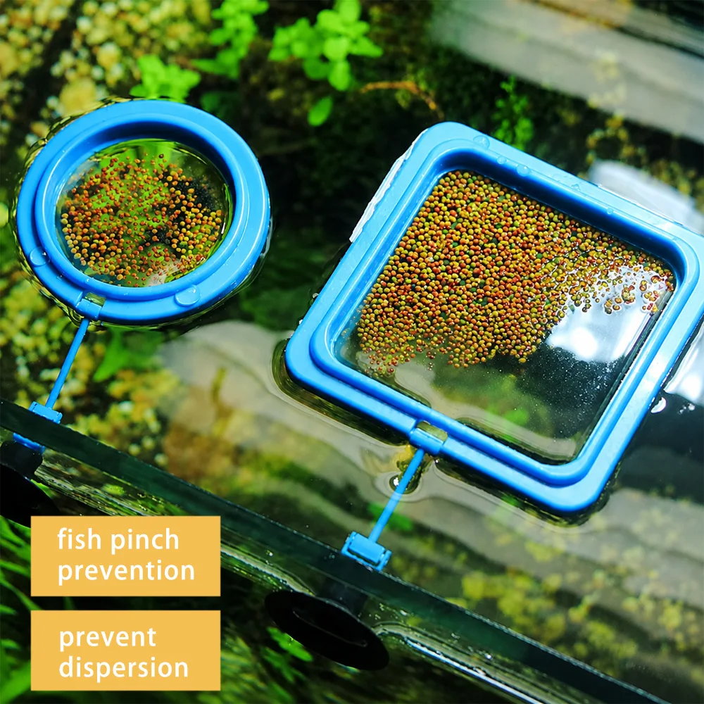 อาหารปลาเบต้าแบบเม็ดลอยน้ำขนาด - Aquarium Fish Price บทวิจารณ์และราคา