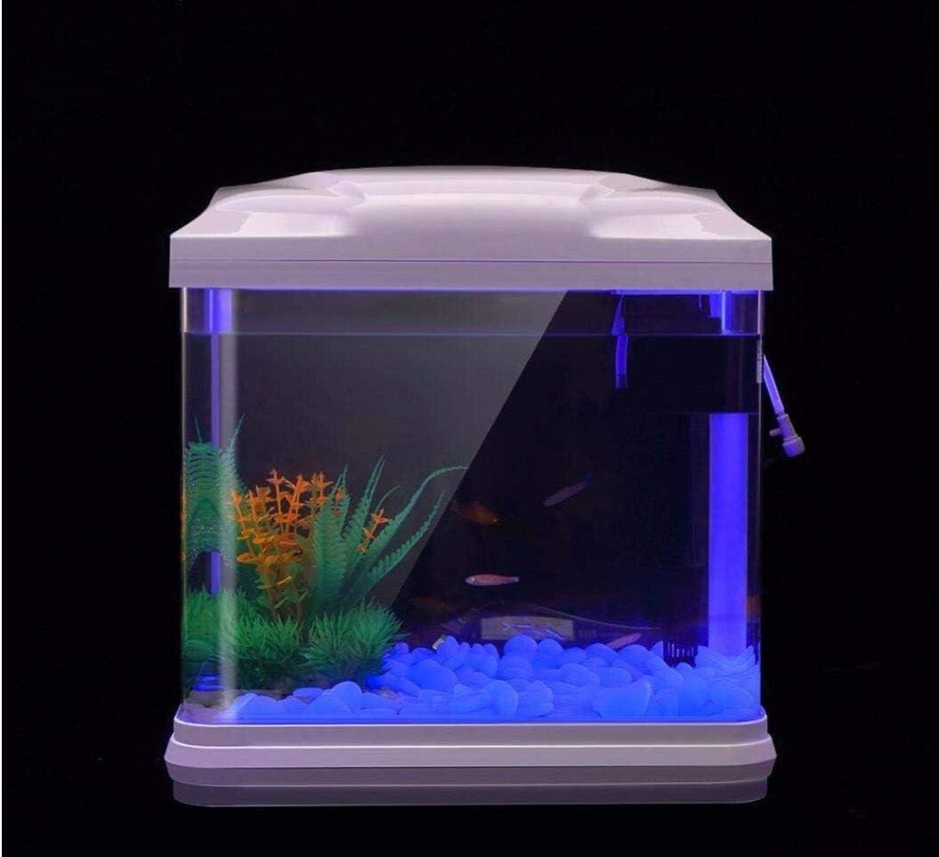 ถังปลา Rocks Glow Blue Pebbles - Aquarium Fish Breeding บทวิจารณ์และราคา