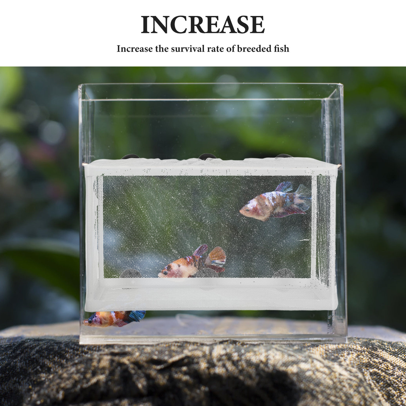 ตาข่ายเลี้ยงปลาขนาดใหญ่ กล่องเ - Aquarium Fish Net Big Size บทวิจารณ์และราคา