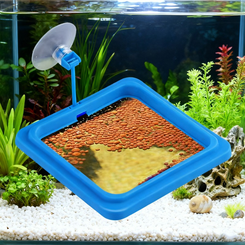 ถาดให้อาหารปลาตู้ปลาแบบลอยน้ำ  - Aquarium Fish Price บทวิจารณ์และราคา