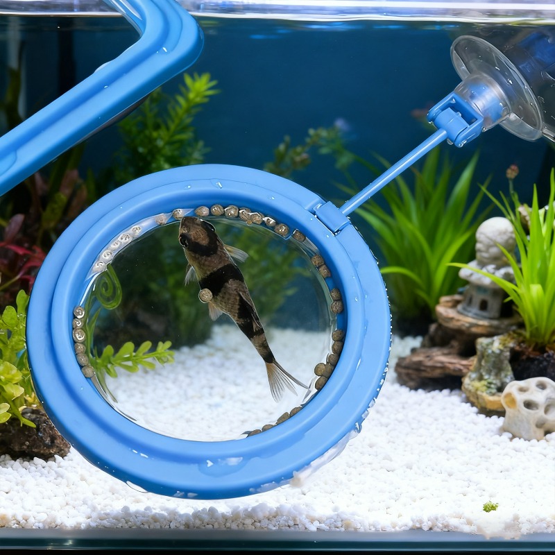 ถาดให้อาหารปลาตู้ปลาแบบลอยน้ำ  - Aquarium Fish Price บทวิจารณ์และราคา
