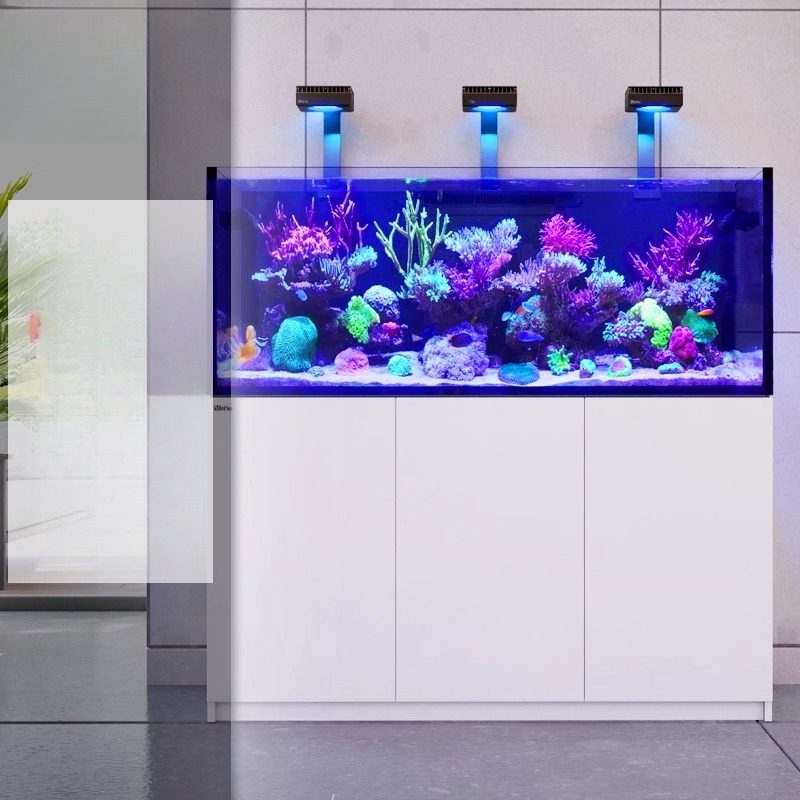 ตู้ปลาทะเลแบบใหม่ G3 + พร้อมระ - Aquarium Fish And Price บทวิจารณ์และราคา