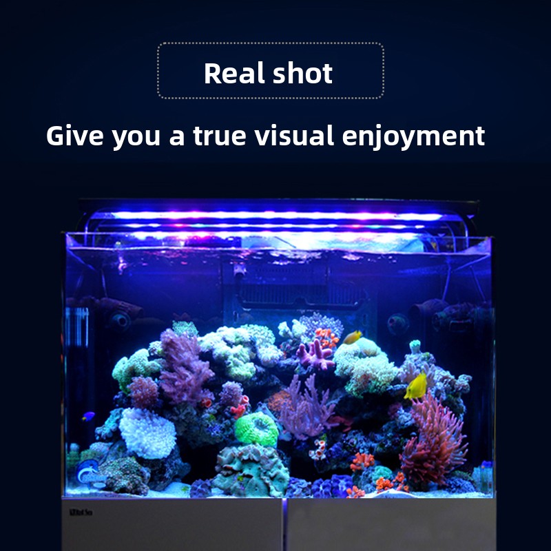 ตู้ปลาทะเลแบบใหม่ G3 + พร้อมระ - Aquarium Fish And Price บทวิจารณ์และราคา