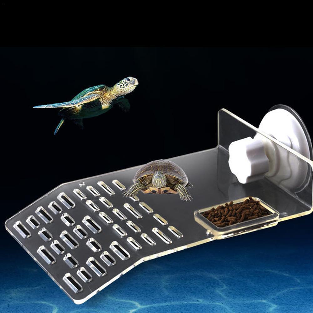 Turtle Pier Dock Basking Platf - Aquarium Fishland บทวิจารณ์และราคา
