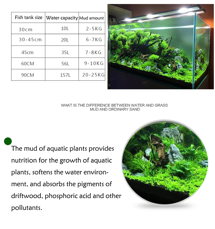 พิพิธภัณฑ์สัตว์น้ำเมล็ดพืชดิน  - Aquarium Fish Price บทวิจารณ์และราคา