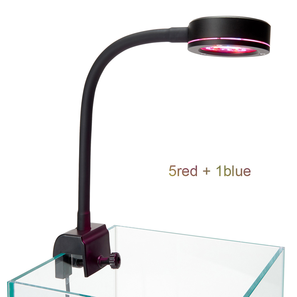 ใหม่โคมไฟตู้ปลานาโน6X3W Pico ส - Refugium Light Nano บทวิจารณ์และราคา
