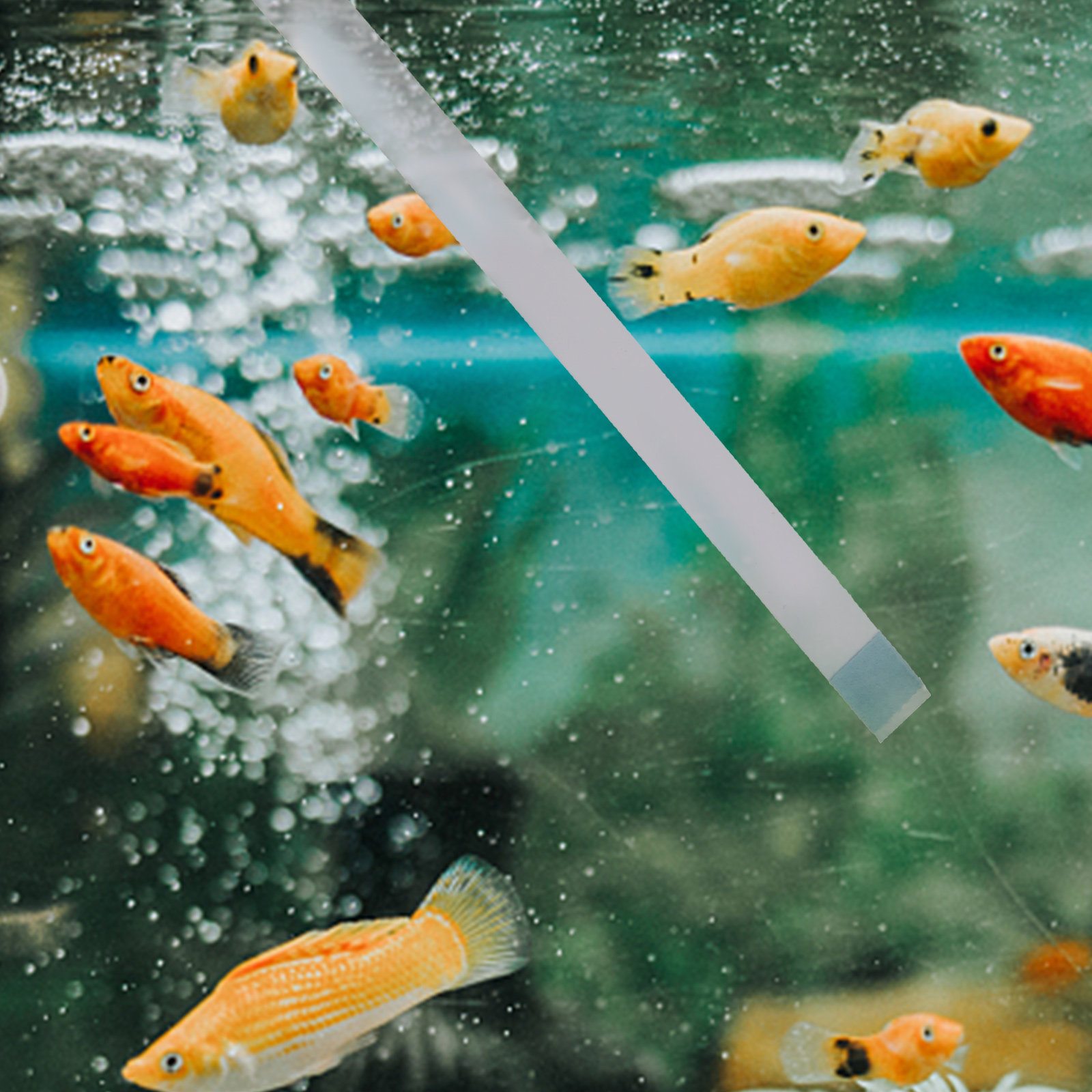 แถบทดสอบคุณภาพน้ำสำหรับสระว่าย - Aquarium Test Kit บทวิจารณ์และราคา