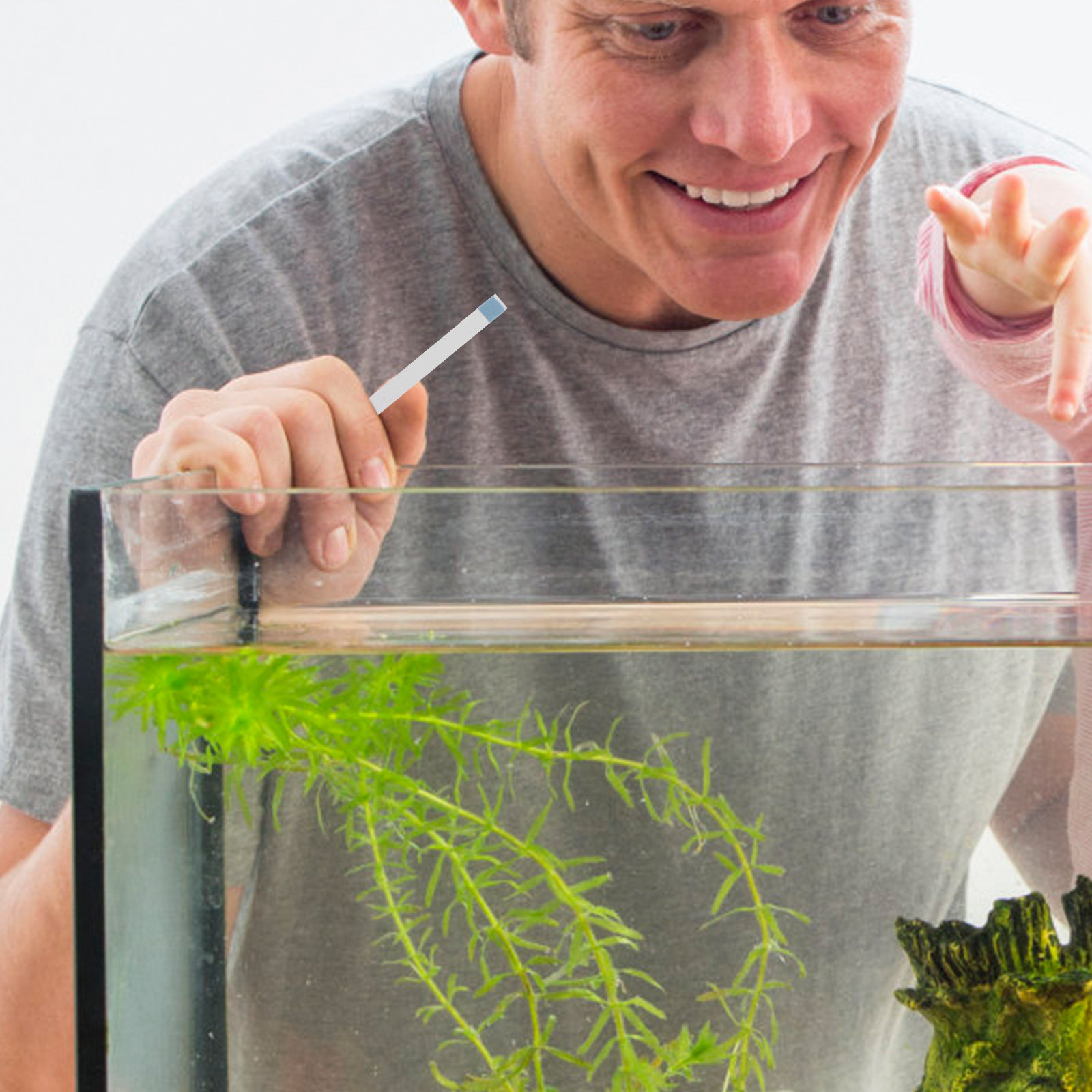 แถบทดสอบคุณภาพน้ำสำหรับสระว่าย - Aquarium Test Kit บทวิจารณ์และราคา