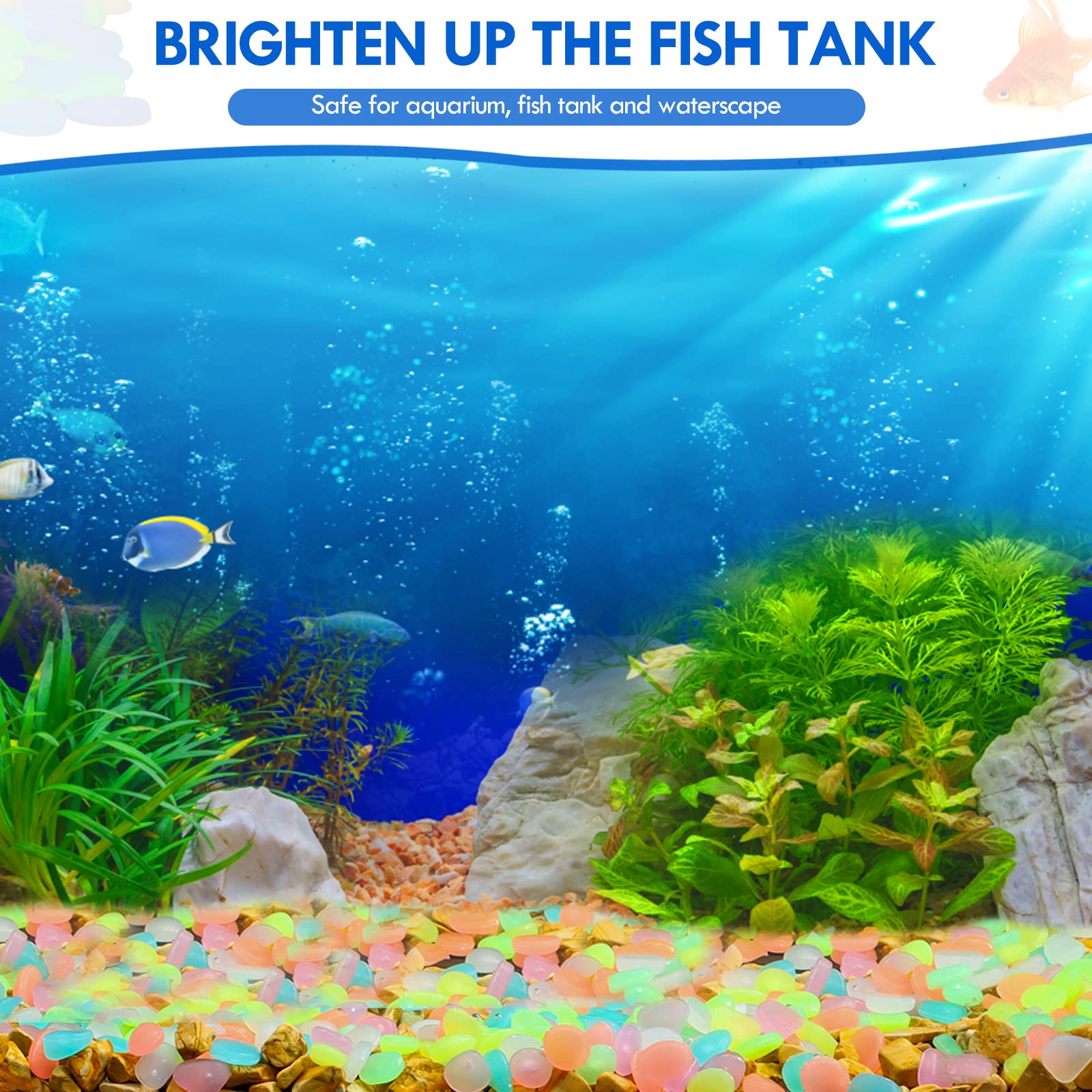 100 ชิ้น Glow in the Dark Gard - Aquarium Fish Breeding บทวิจารณ์และราคา