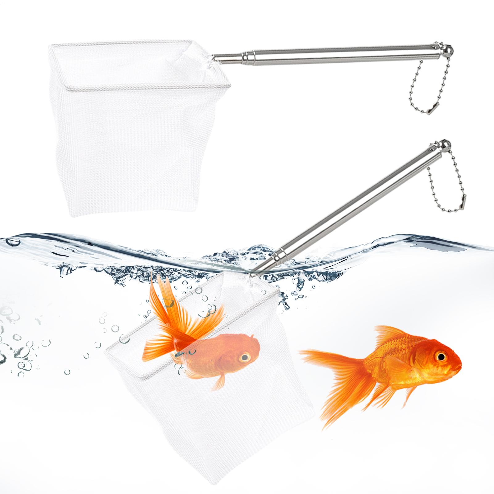 ชุดอุปกรณ์ตกปลา 2 ชิ้น ตาข่ายด - Aquarium Fishland บทวิจารณ์และราคา