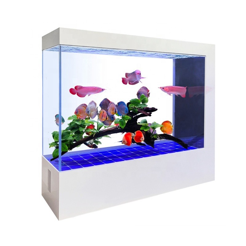 ขายส่ง ตู้ปลาแก้วสีดำ ดีไซน์ให - Aquarium Fish And Price บทวิจารณ์และราคา