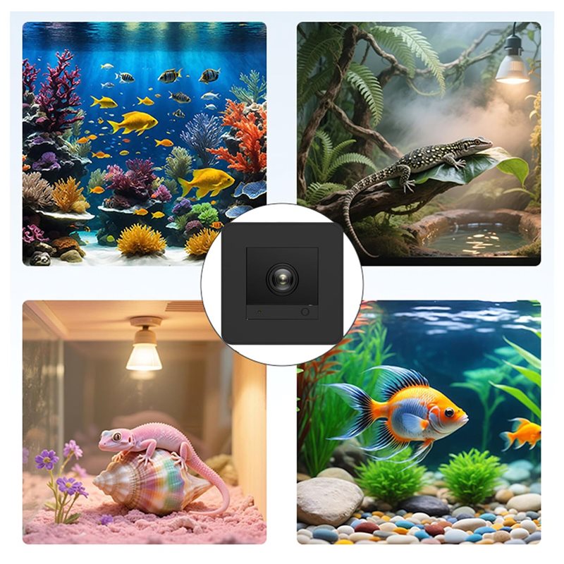 ราคาลดลง! กล้องตู้ปลา กล้องตู้ - Aquarium Fish And Price บทวิจารณ์และราคา