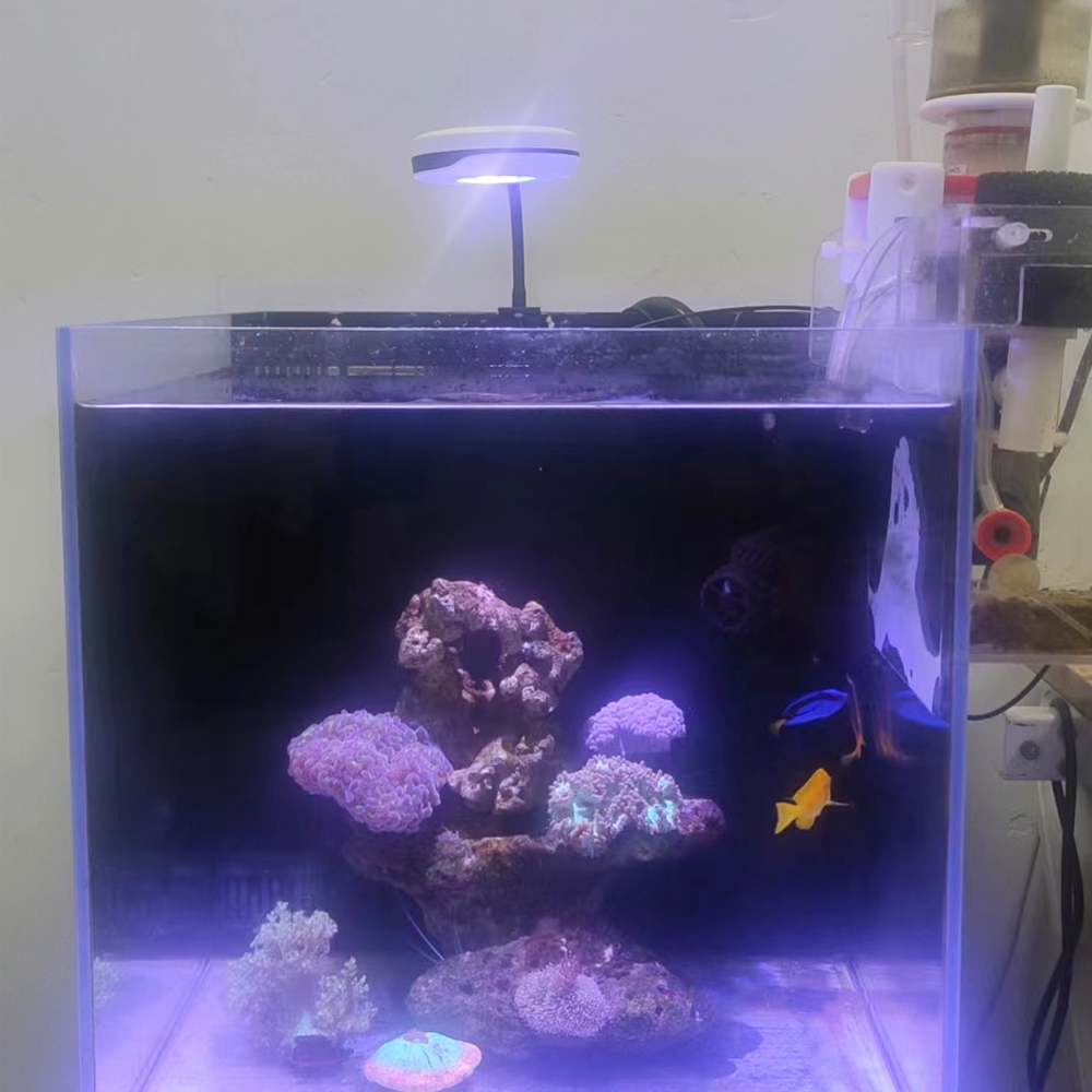 ไฟตู้ปลา LED แบบหนีบ 20W รุ่น  - Refugium Light Nano บทวิจารณ์และราคา